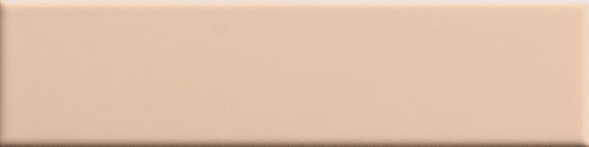 41zero42 BISCUIT PLAIN POWDER 5x20cm - obrazek 1